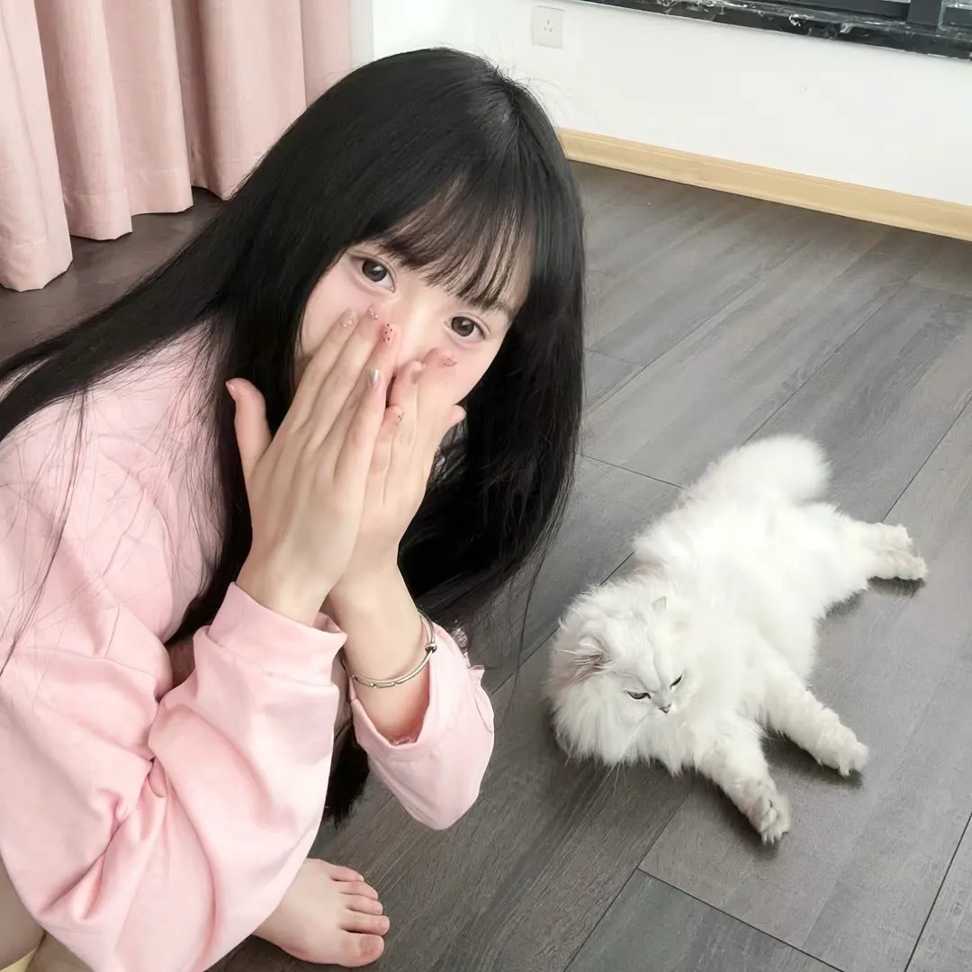 程序员那么可爱